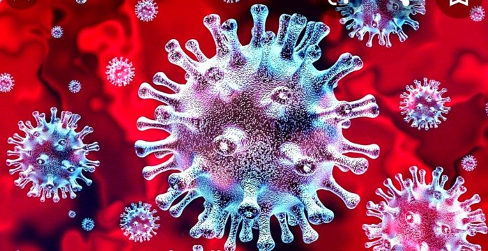 coronavirus